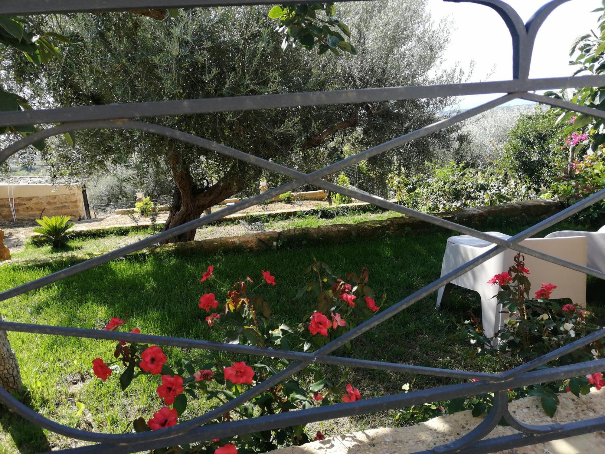 A Casa Di Mammi Nella Valle Dei Templi Agrigento Pokój zdjęcie